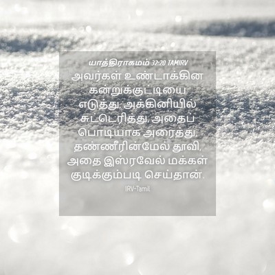 Picture 04 - யாத்திராகமம் 32:20 TAMIRV - அவர்கள் - Bible Verse Picture