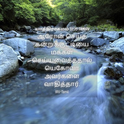 Picture 04 - யாத்திராகமம் 32:35 TAMIRV - ஆரோன் செய்த - Bible Verse Picture