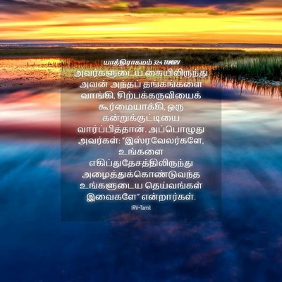 Picture 04 - யாத்திராகமம் 32:4 TAMIRV - அவர்களுடைய - Bible Verse Picture