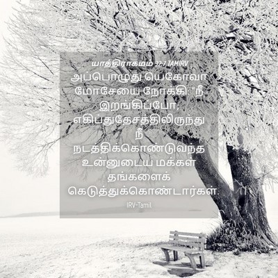 Picture 04 - யாத்திராகமம் 32:7 TAMIRV - அப்பொழுது யெகோவா - Bible Verse Picture