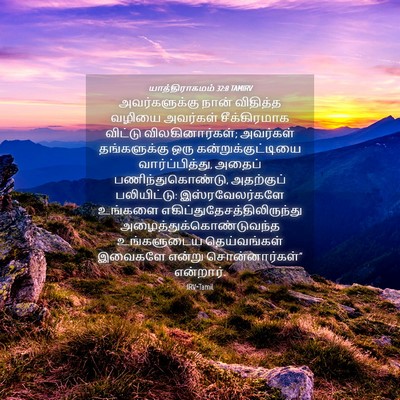 Picture 04 - யாத்திராகமம் 32:8 TAMIRV - அவர்களுக்கு நான் - Bible Verse Picture