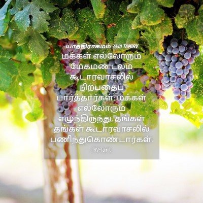 Picture 04 - யாத்திராகமம் 33:10 TAMIRV - மக்கள் எல்லோரும் - Bible Verse Picture