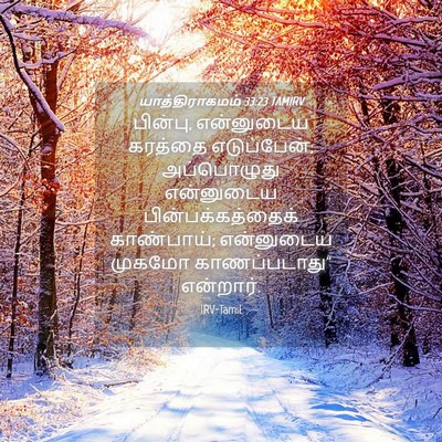 Picture 04 - யாத்திராகமம் 33:23 TAMIRV - பின்பு, என்னுடைய - Bible Verse Picture