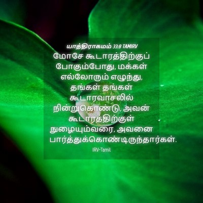 Picture 04 - யாத்திராகமம் 33:8 TAMIRV - மோசே - Bible Verse Picture