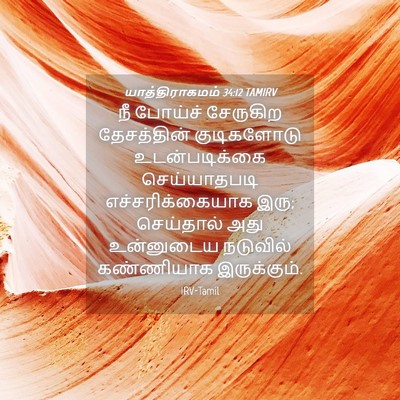 Picture 04 - யாத்திராகமம் 34:12 TAMIRV - நீ போய்ச் சேருகிற - Bible Verse Picture