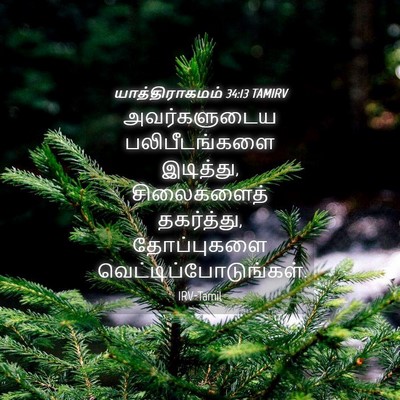 Picture 04 - யாத்திராகமம் 34:13 TAMIRV - அவர்களுடைய - Bible Verse Picture
