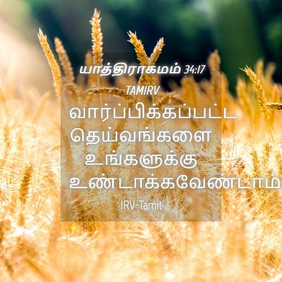 Picture 04 - யாத்திராகமம் 34:17 TAMIRV -  - Bible Verse Picture