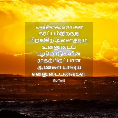 Picture 04 - யாத்திராகமம் 34:19 TAMIRV - கர்ப்பம்திறந்து - Bible Verse Picture