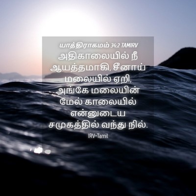 Picture 04 - யாத்திராகமம் 34:2 TAMIRV - அதிகாலையில் நீ - Bible Verse Picture
