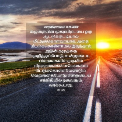 Picture 04 - யாத்திராகமம் 34:20 TAMIRV - கழுதையின் - Bible Verse Picture