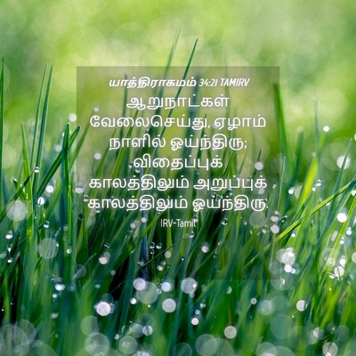 Picture 04 - யாத்திராகமம் 34:21 TAMIRV - ஆறுநாட்கள் - Bible Verse Picture