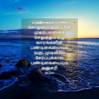 Picture 04 - யாத்திராகமம் 34:22 TAMIRV - கோதுமை அறுப்பின் - Bible Verse Picture