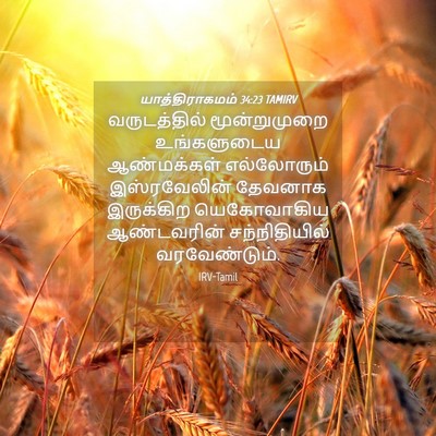 Picture 04 - யாத்திராகமம் 34:23 TAMIRV - வருடத்தில் - Bible Verse Picture