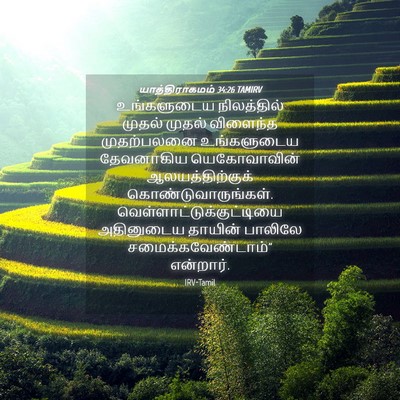 Picture 04 - யாத்திராகமம் 34:26 TAMIRV - உங்களுடைய - Bible Verse Picture