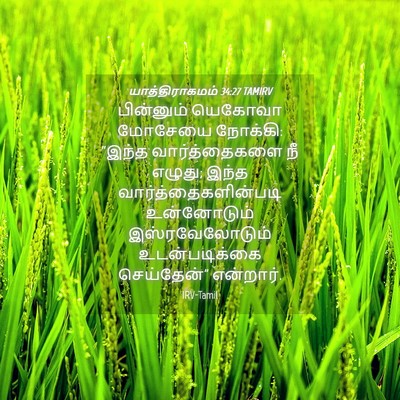 Picture 04 - யாத்திராகமம் 34:27 TAMIRV - பின்னும் யெகோவா - Bible Verse Picture