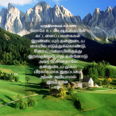 Picture 04 - யாத்திராகமம் 34:29 TAMIRV - மோசே - Bible Verse Picture