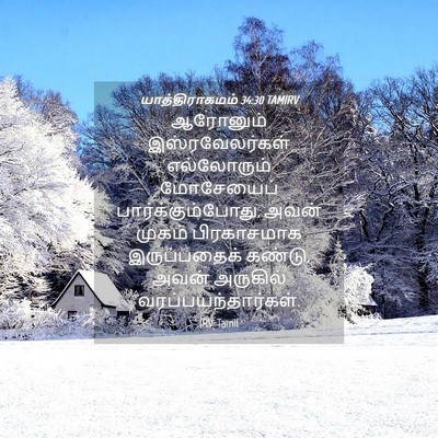 Picture 04 - யாத்திராகமம் 34:30 TAMIRV - ஆரோனும் - Bible Verse Picture