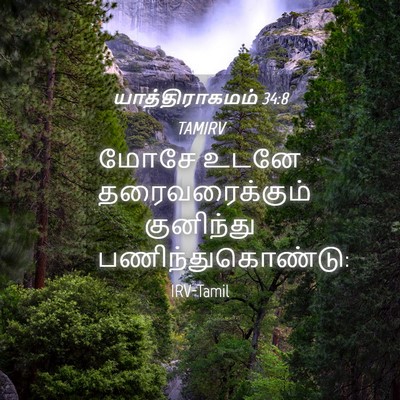 Picture 04 - யாத்திராகமம் 34:8 TAMIRV - மோசே உடனே - Bible Verse Picture