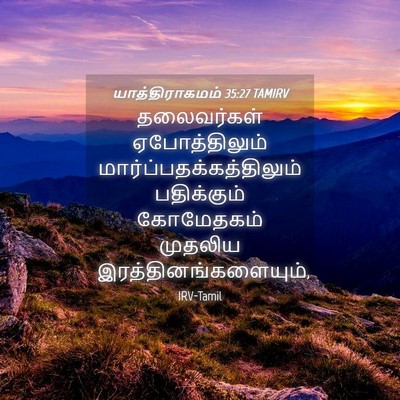 Picture 04 - யாத்திராகமம் 35:27 TAMIRV - தலைவர்கள் - Bible Verse Picture