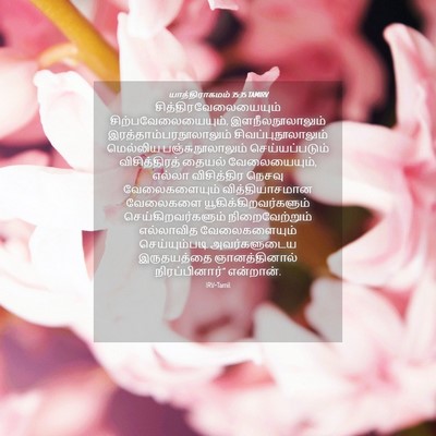 Picture 04 - யாத்திராகமம் 35:35 TAMIRV -  - Bible Verse Picture