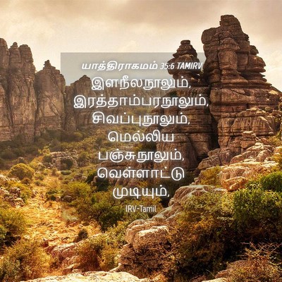 Picture 04 - யாத்திராகமம் 35:6 TAMIRV - இளநீலநூலும், - Bible Verse Picture