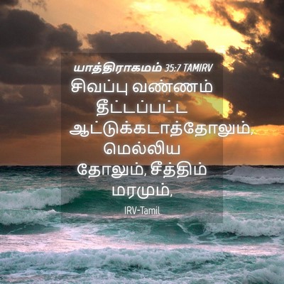 Picture 04 - யாத்திராகமம் 35:7 TAMIRV - சிவப்பு வண்ணம் - Bible Verse Picture