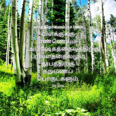 Picture 04 - யாத்திராகமம் 35:8 TAMIRV - விளக்குக்கு - Bible Verse Picture