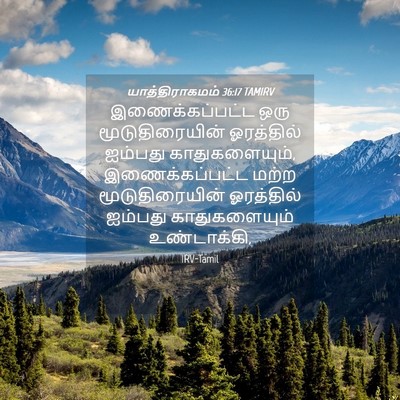 Picture 04 - யாத்திராகமம் 36:17 TAMIRV - இணைக்கப்பட்ட ஒரு - Bible Verse Picture