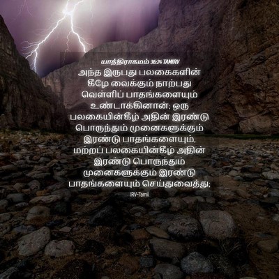 Picture 04 - யாத்திராகமம் 36:24 TAMIRV - அந்த இருபது - Bible Verse Picture