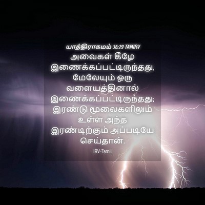 Picture 04 - யாத்திராகமம் 36:29 TAMIRV - அவைகள் கீழே - Bible Verse Picture