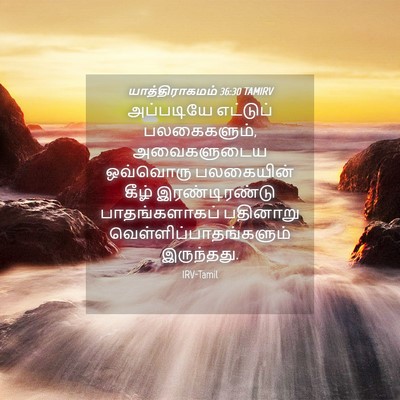 Picture 04 - யாத்திராகமம் 36:30 TAMIRV - அப்படியே எட்டுப் - Bible Verse Picture