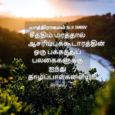 Picture 04 - யாத்திராகமம் 36:31 TAMIRV - சீத்திம் மரத்தால் - Bible Verse Picture