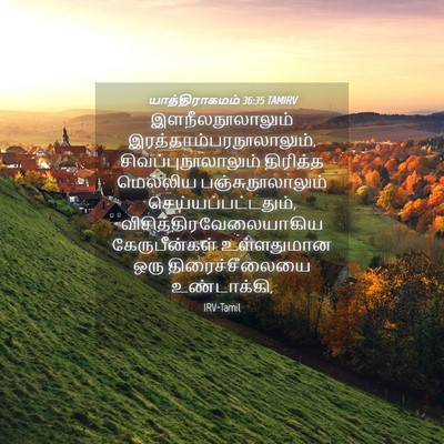 Picture 04 - யாத்திராகமம் 36:35 TAMIRV - இளநீலநூலாலும் - Bible Verse Picture
