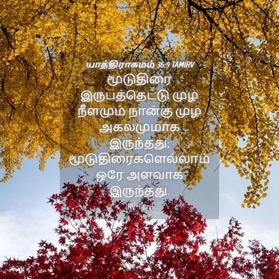 Picture 04 - யாத்திராகமம் 36:9 TAMIRV - மூடுதிரை - Bible Verse Picture