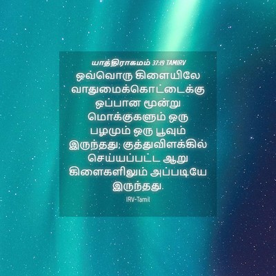 Picture 04 - யாத்திராகமம் 37:19 TAMIRV - ஒவ்வொரு கிளையிலே - Bible Verse Picture
