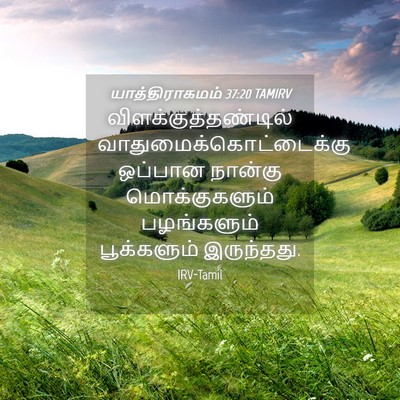 Picture 04 - யாத்திராகமம் 37:20 TAMIRV - விளக்குத்தண்டில் - Bible Verse Picture