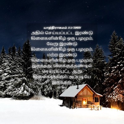 Picture 04 - யாத்திராகமம் 37:21 TAMIRV - அதில் செய்யப்பட்ட - Bible Verse Picture