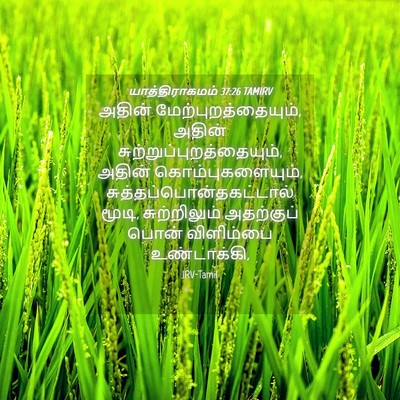 Picture 04 - யாத்திராகமம் 37:26 TAMIRV - அதின் - Bible Verse Picture