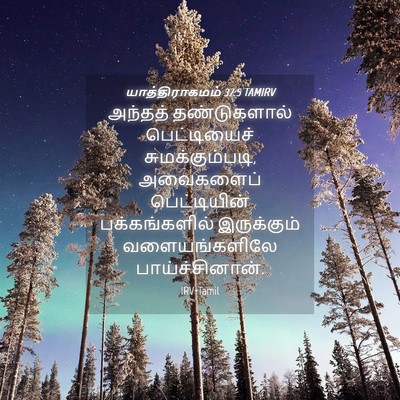 Picture 04 - யாத்திராகமம் 37:5 TAMIRV - அந்தத் தண்டுகளால் - Bible Verse Picture