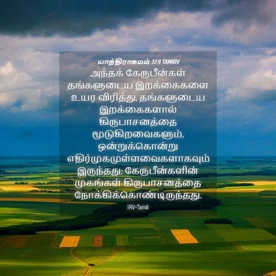 Picture 04 - யாத்திராகமம் 37:9 TAMIRV - அந்தக் - Bible Verse Picture