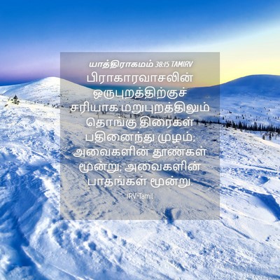 Picture 04 - யாத்திராகமம் 38:15 TAMIRV - பிராகாரவாசலின் - Bible Verse Picture