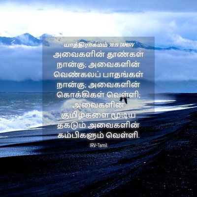 Picture 04 - யாத்திராகமம் 38:19 TAMIRV - அவைகளின் தூண்கள் - Bible Verse Picture