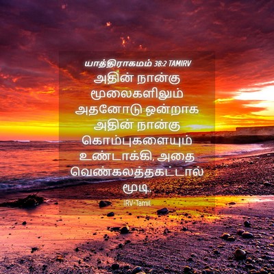 Picture 04 - யாத்திராகமம் 38:2 TAMIRV - அதின் நான்கு - Bible Verse Picture