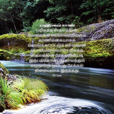 Picture 04 - யாத்திராகமம் 38:24 TAMIRV - பரிசுத்த - Bible Verse Picture