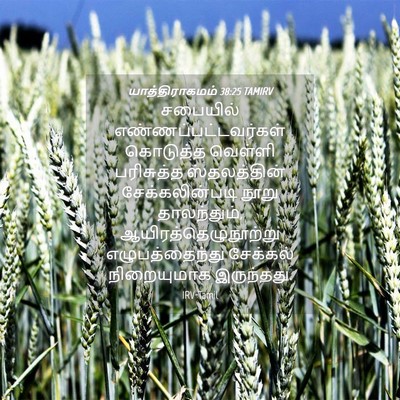 Picture 04 - யாத்திராகமம் 38:25 TAMIRV - சபையில் - Bible Verse Picture