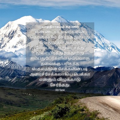 Picture 04 - யாத்திராகமம் 38:26 TAMIRV -  - Bible Verse Picture