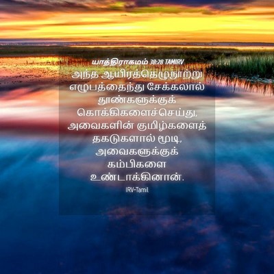 Picture 04 - யாத்திராகமம் 38:28 TAMIRV - அந்த - Bible Verse Picture