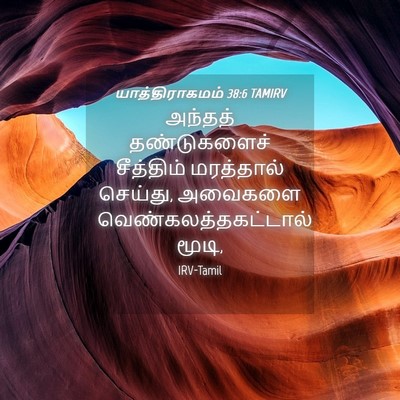Picture 04 - யாத்திராகமம் 38:6 TAMIRV - அந்தத் தண்டுகளைச் - Bible Verse Picture