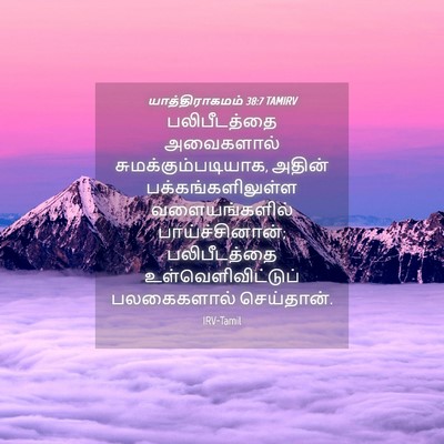 Picture 04 - யாத்திராகமம் 38:7 TAMIRV - பலிபீடத்தை - Bible Verse Picture
