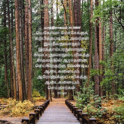 Picture 04 - யாத்திராகமம் 39:1 TAMIRV - யெகோவா மோசேக்குக் - Bible Verse Picture